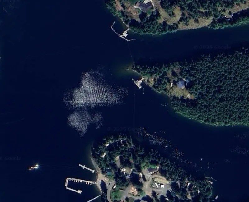 Power lines over lake to be replaced this&nbsp;spring