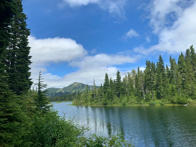 New forestry report suggests realistic reconciliation approach for managing&nbsp;timberlands