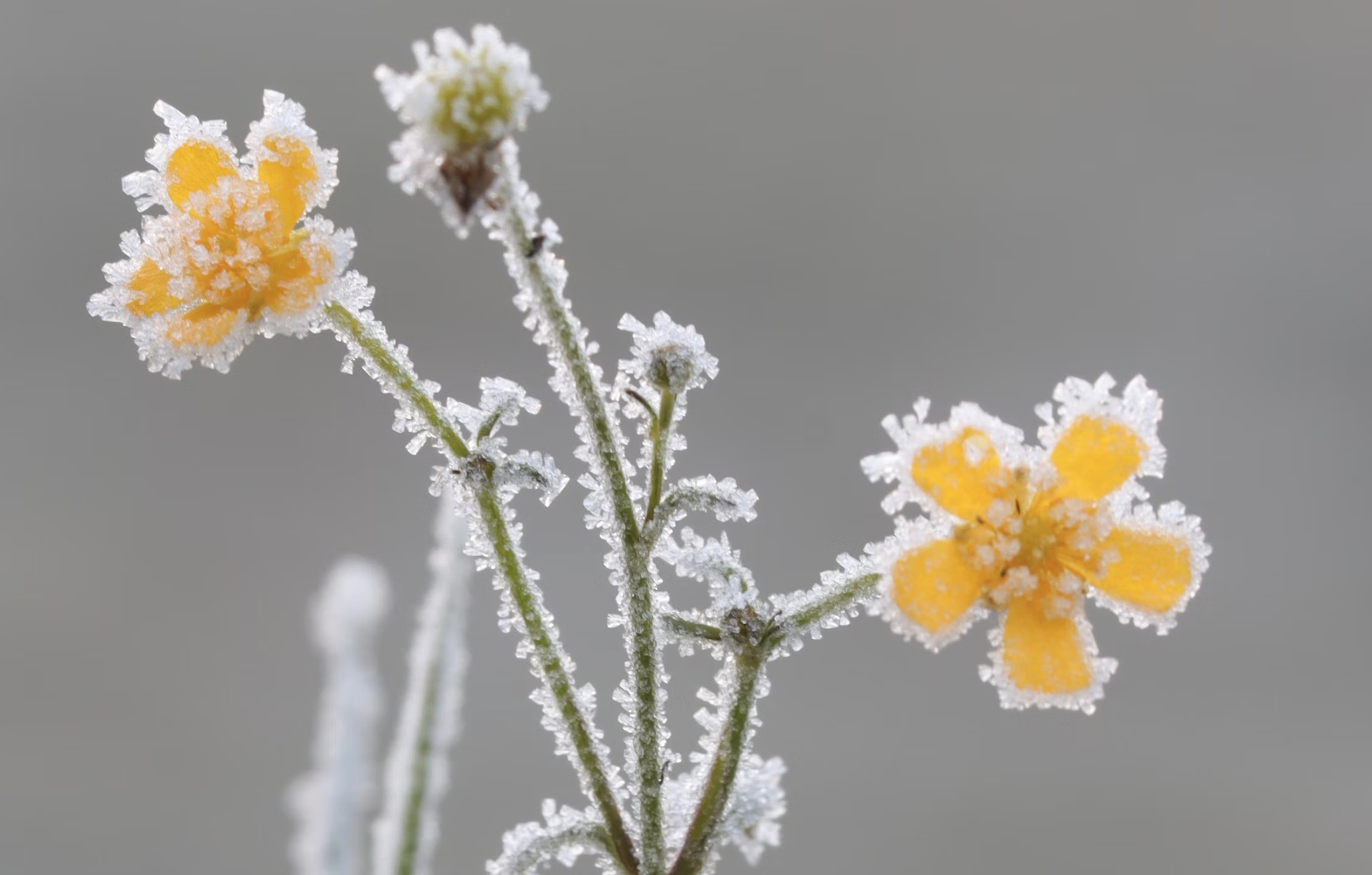 Late cold snap prompts warming centre opening this week