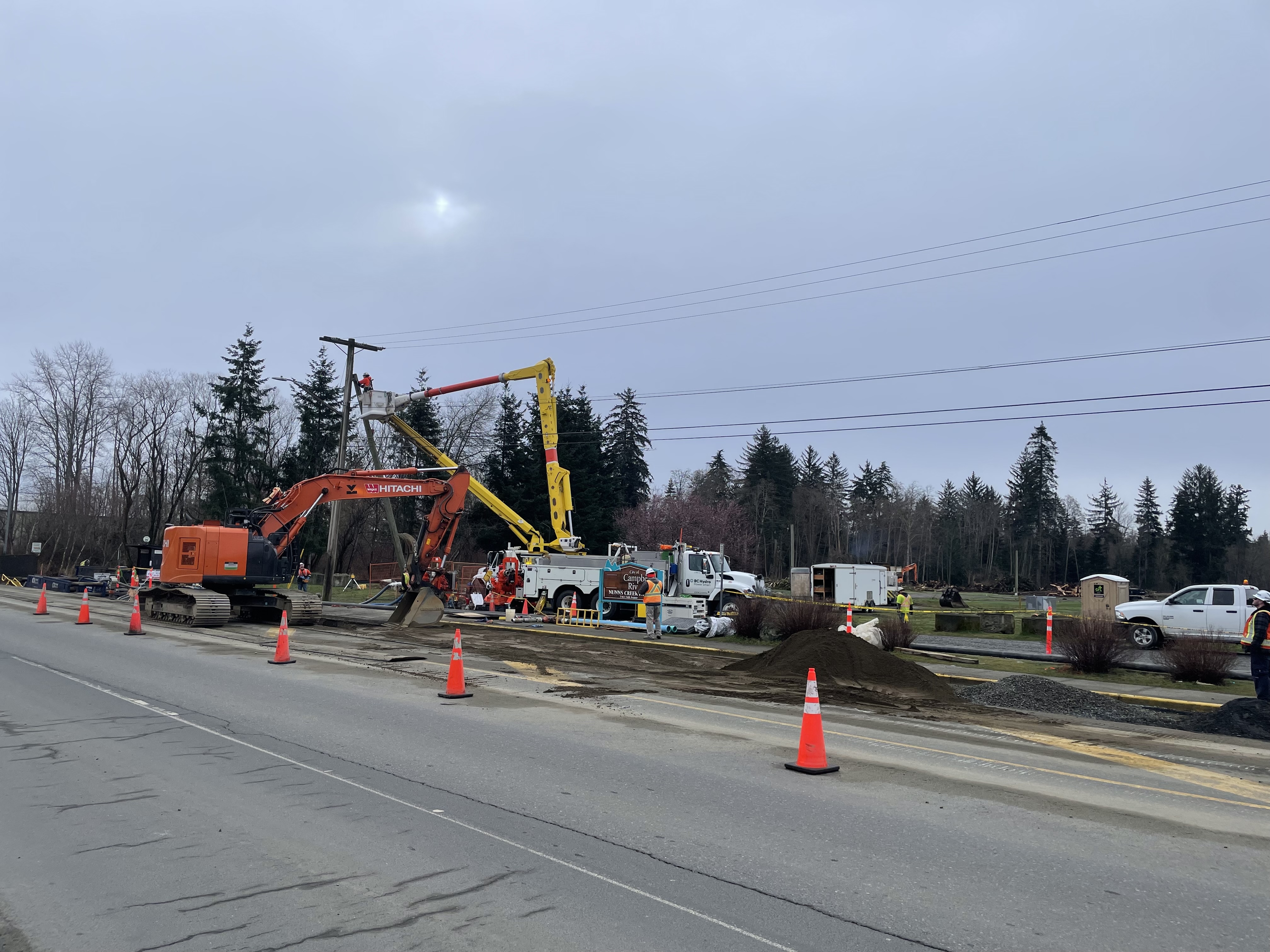 Trees removed to protect new ball fields