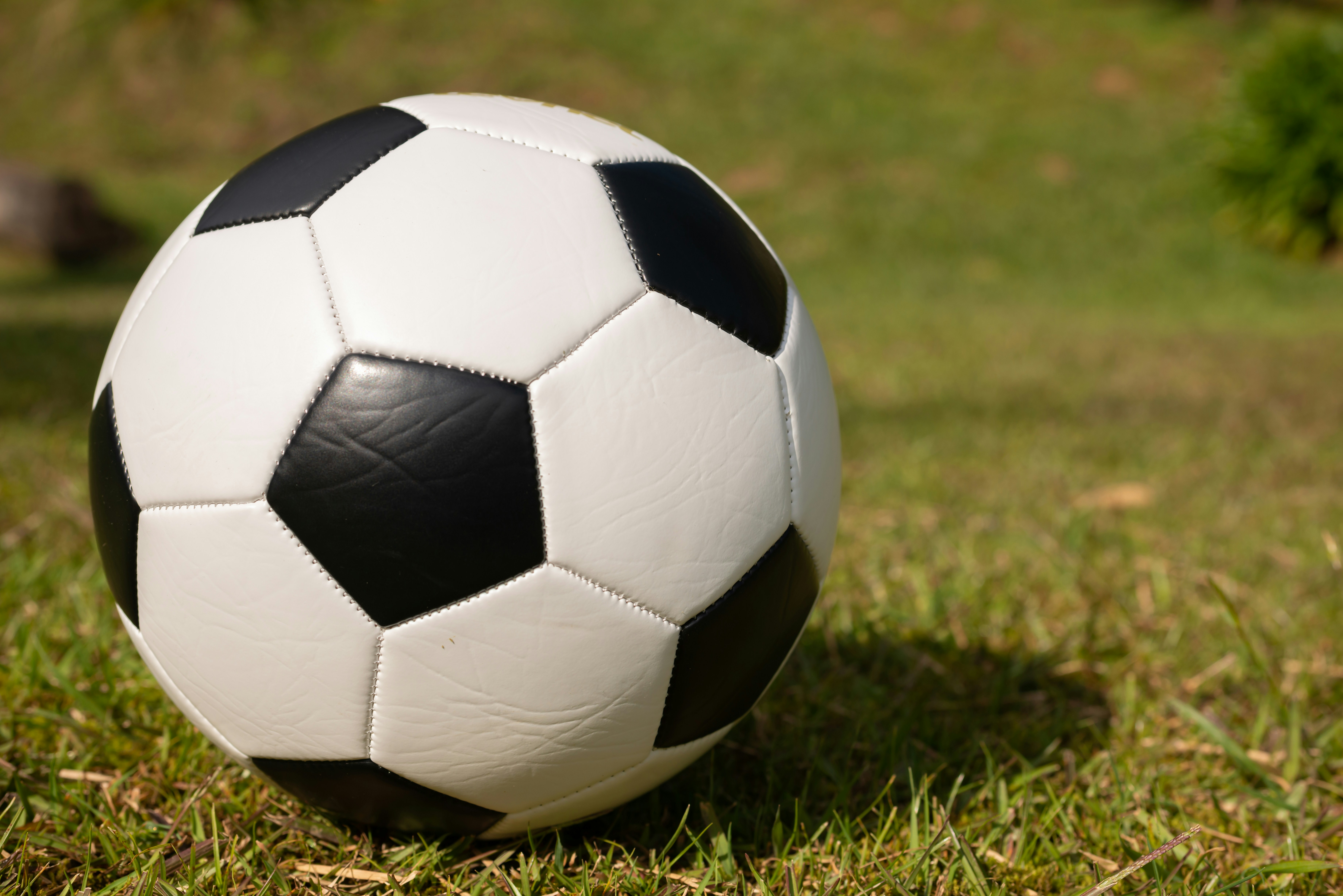 FIFA soccer watch party scheduled for Robron Park