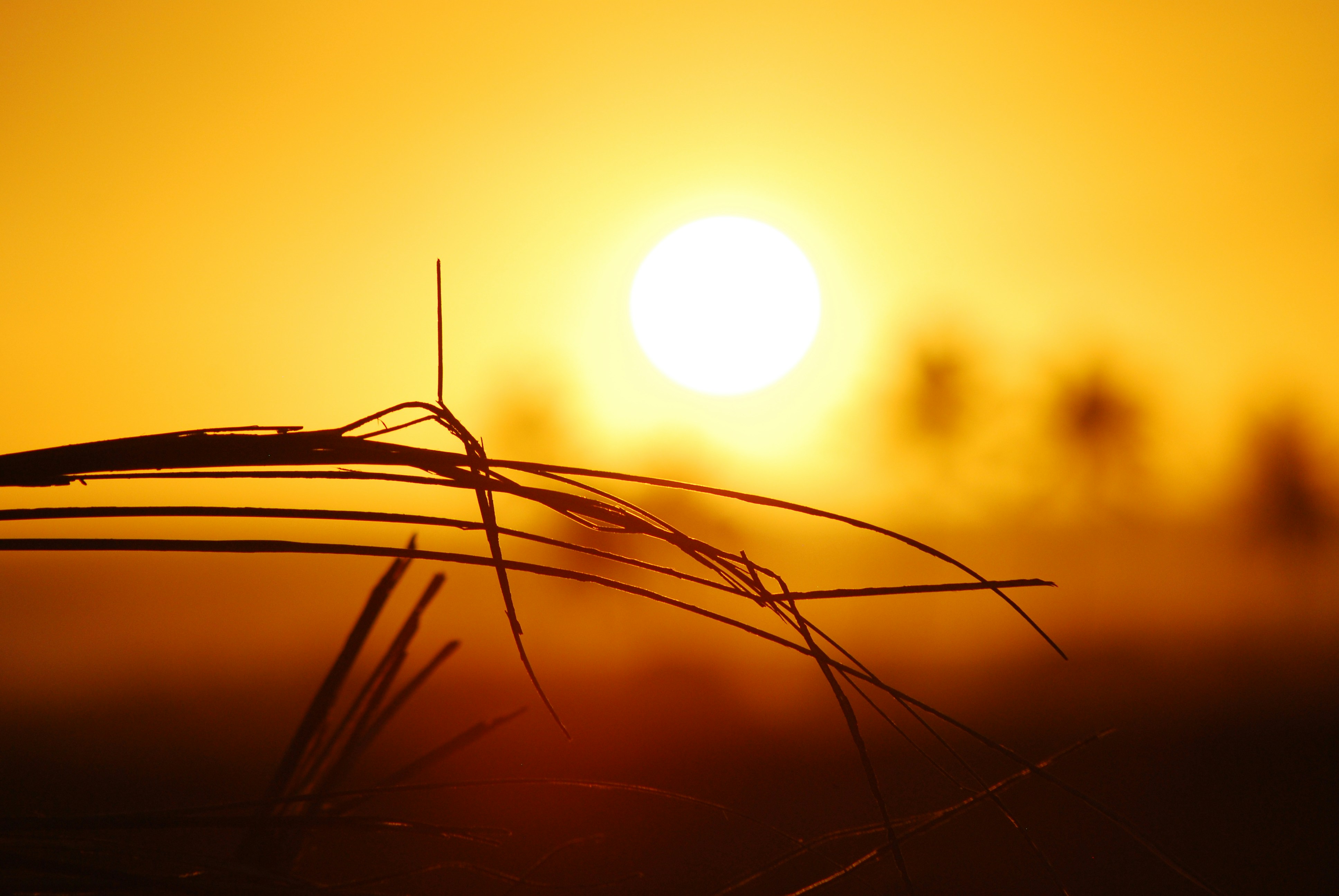 Warm May days set new electricity usage record in BC