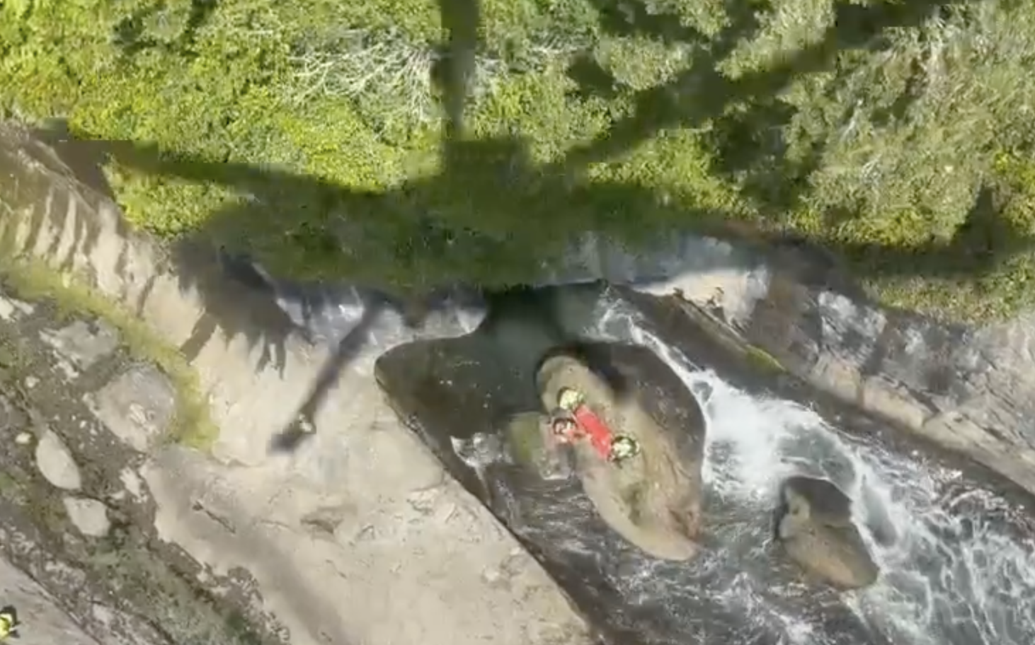 VIDEO: injured hiker rescued near Port Renfrew