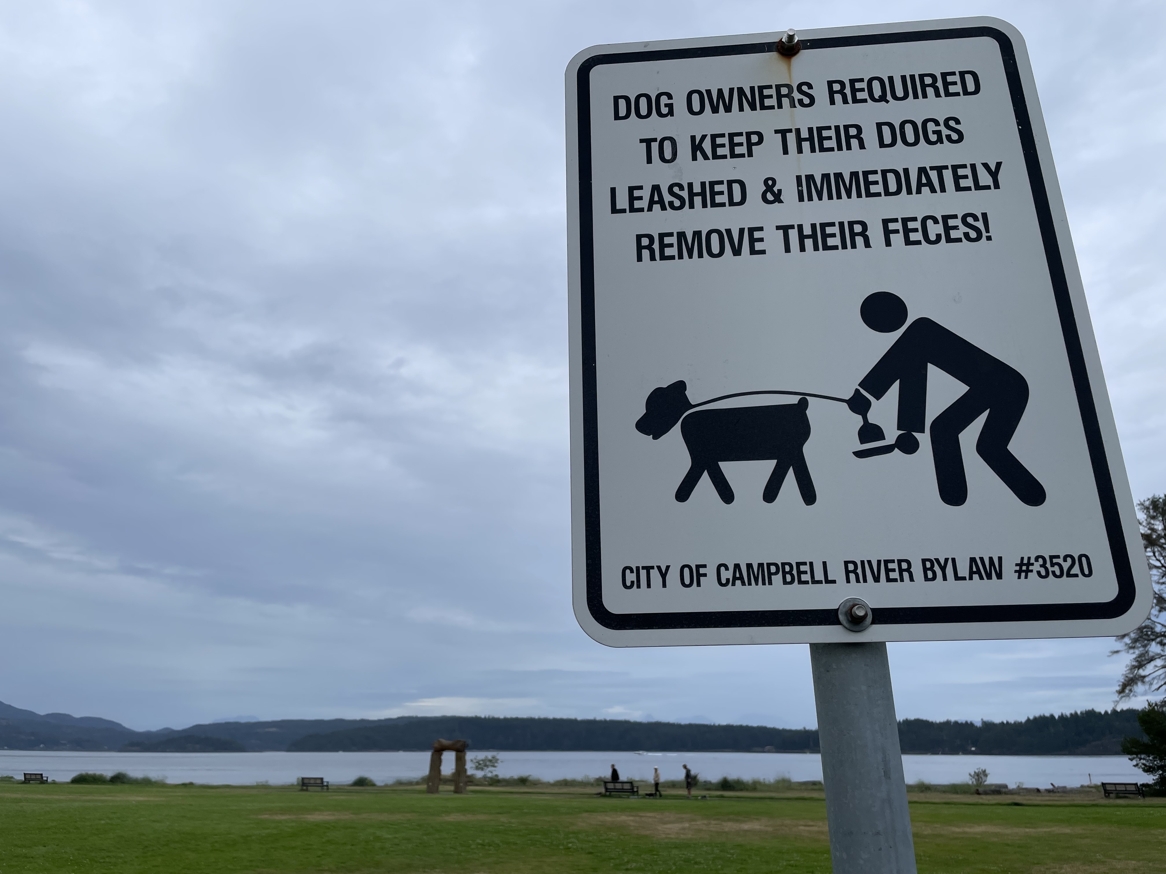 Man fined after off-leash dog dispute on Tyee Spit ends in court