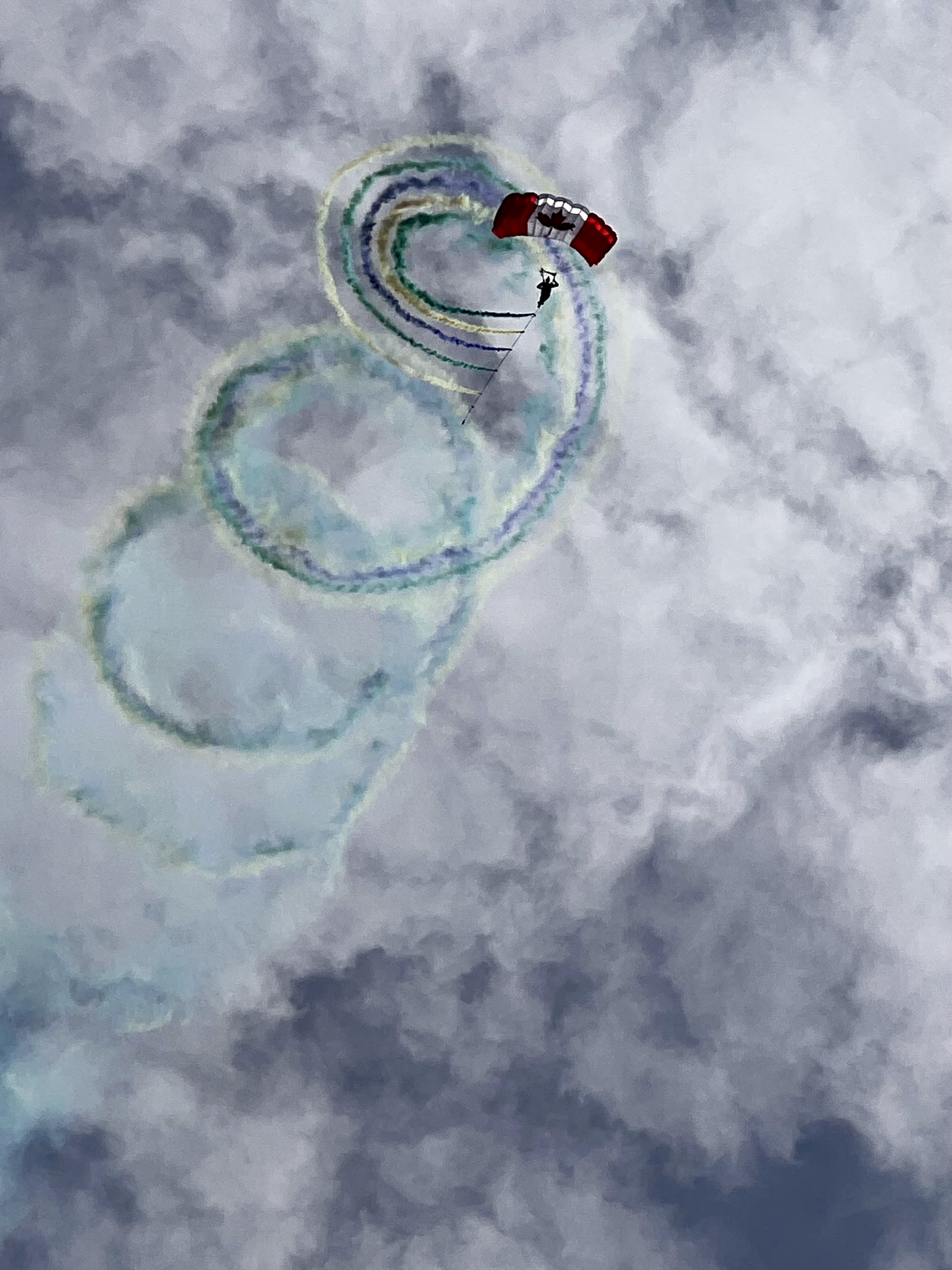 High-Flying Precision: SkyHawks Wow  Crowd at Willow Point Park