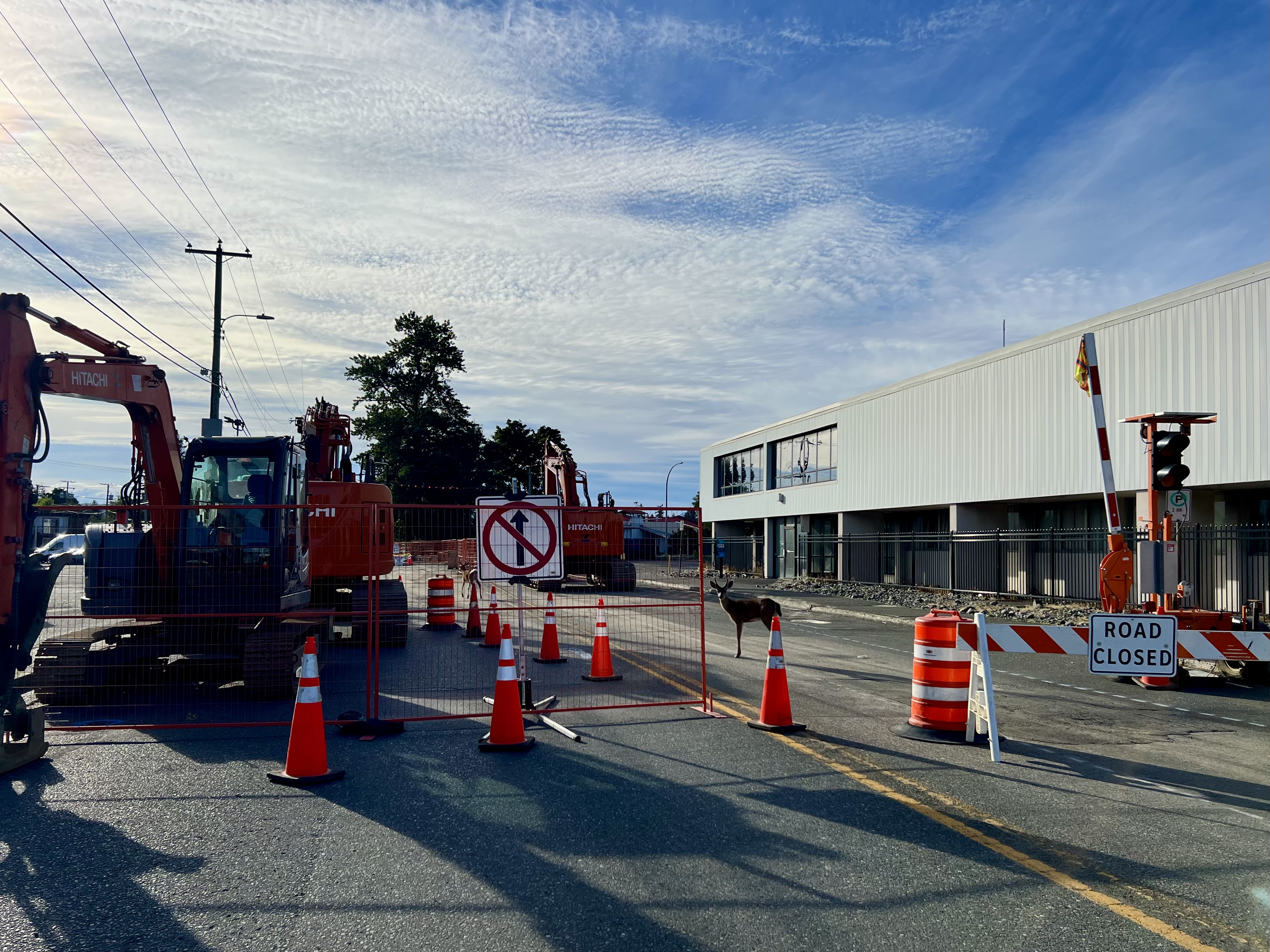 The ‘Hole Story’ behind Campbell River’s 16th Avenue excavation