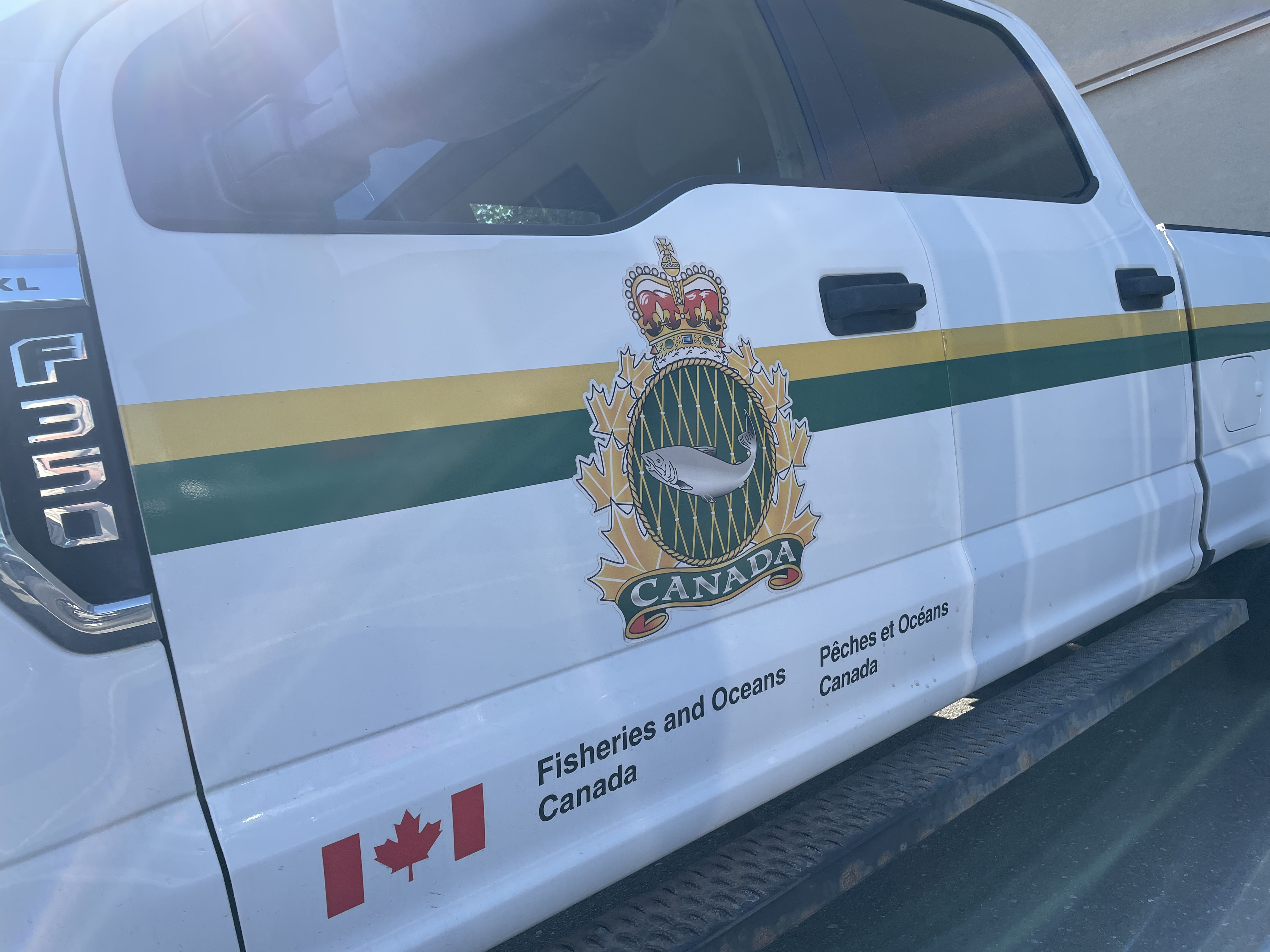 Fisheries officers injured during North Island incident with humpback whale