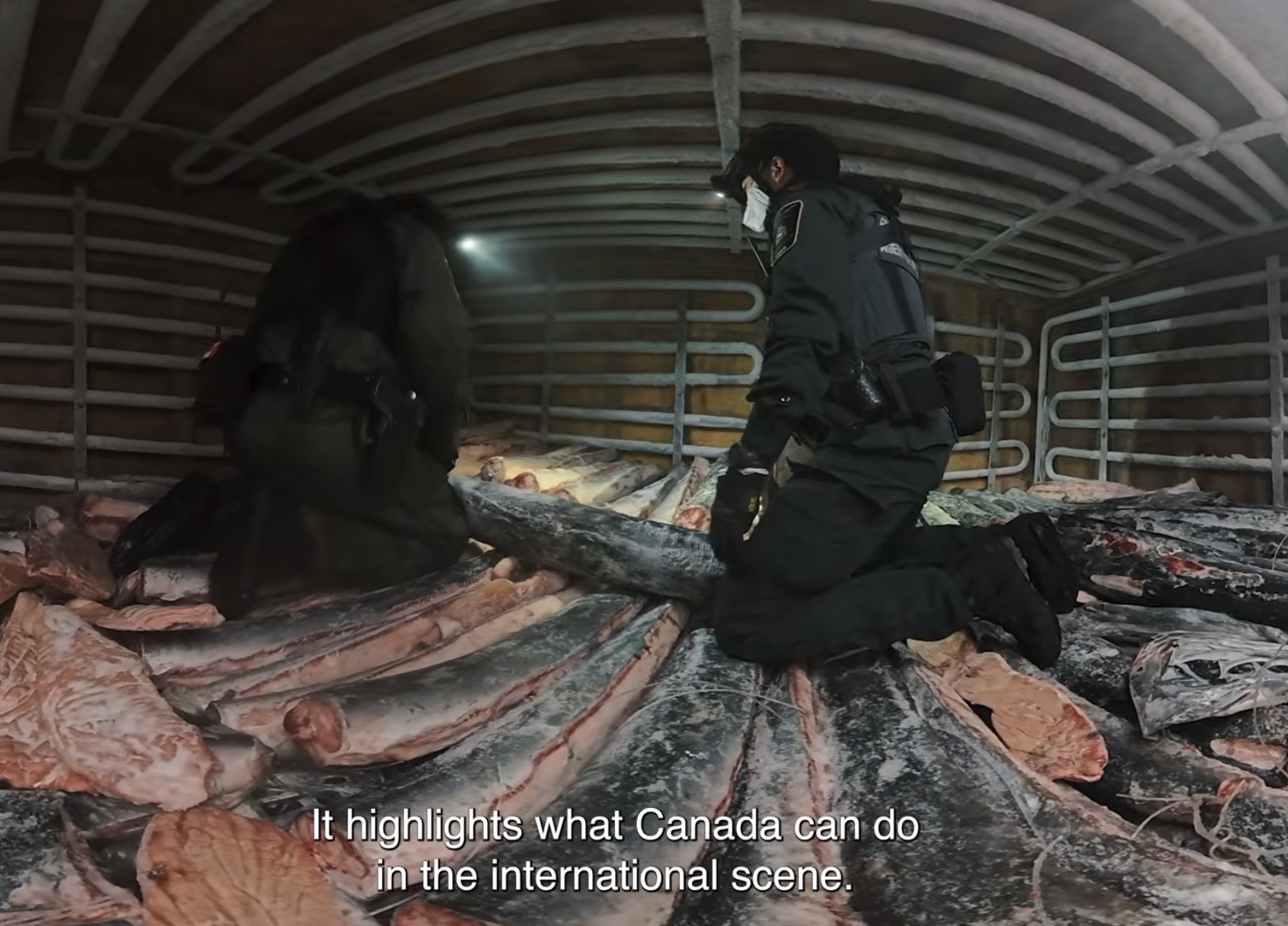 VIDEO: Task force protects BC salmon on the high seas