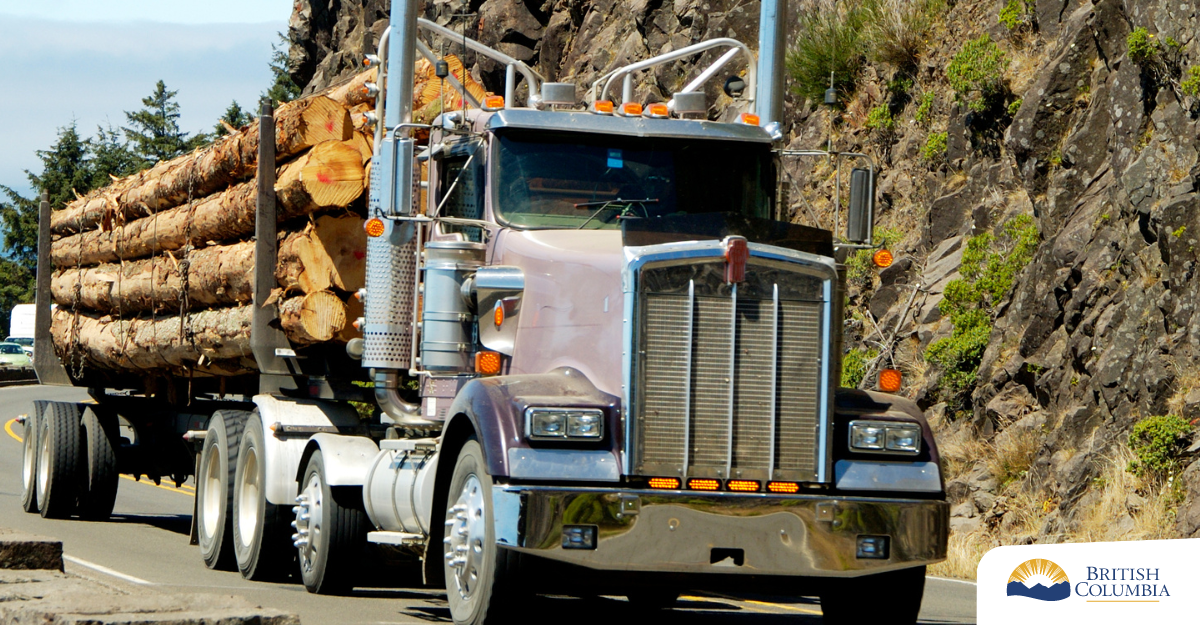 Mayor backs forestry industry at ‘breaking point’ in call for action from BC government